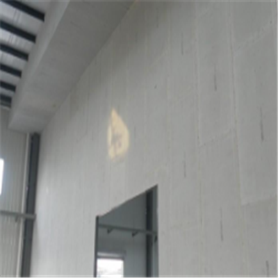 乳山新型建筑材料掺多种工业废渣的ALC|ACC|FPS模块板材轻质隔墙板